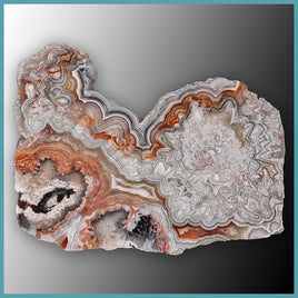 REL111 Laguna Lace Agate Specimen
