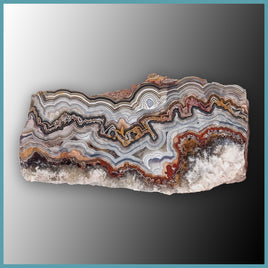 REL116 Laguna Lace Agate Specimen