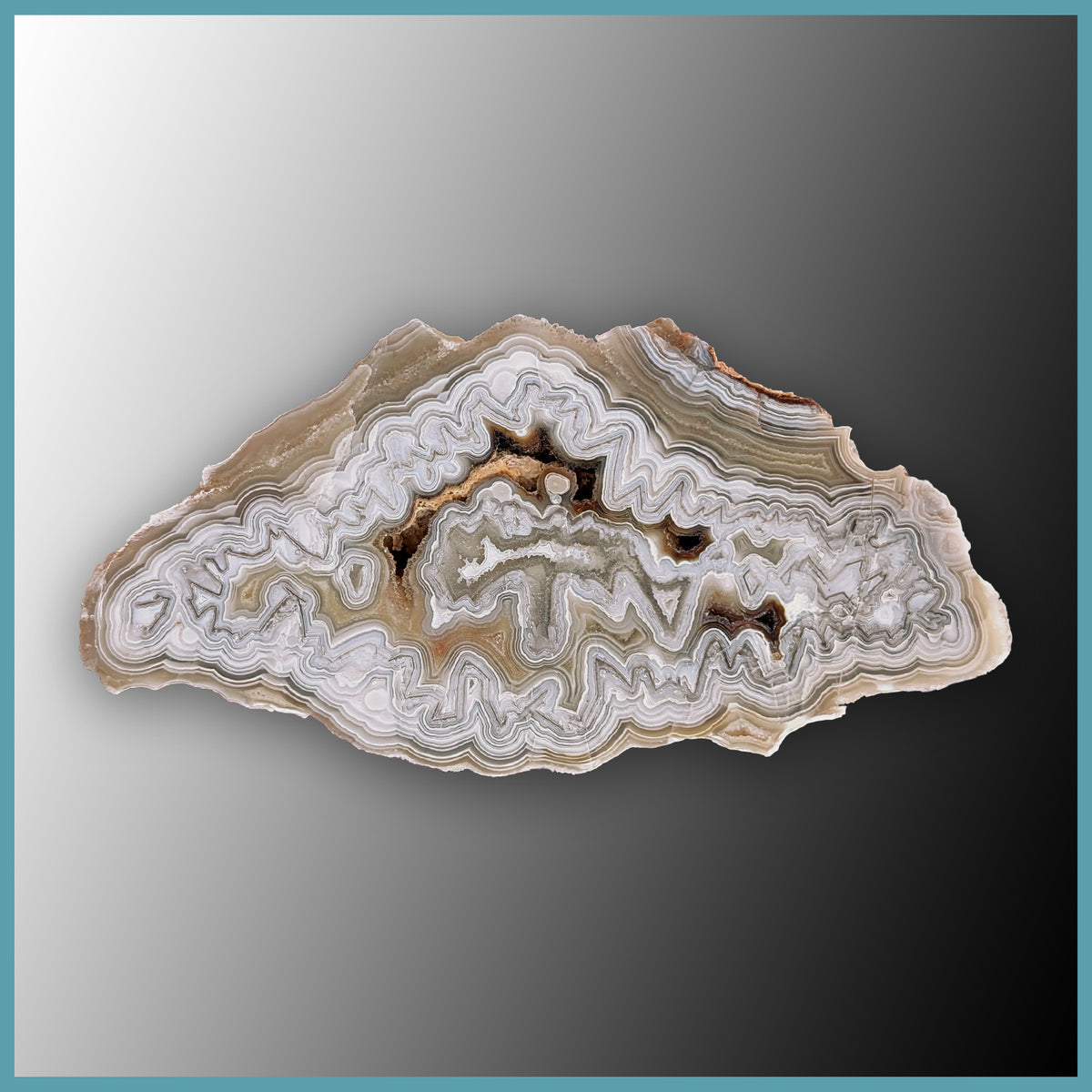 REL118 Laguna Lace Agate Specimen| The Gem Shop, Inc.