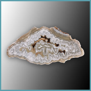 REL118 Laguna Lace Agate Specimen