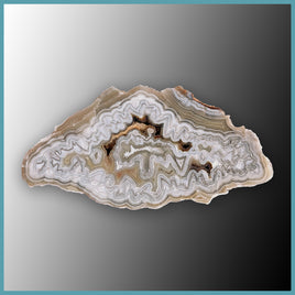 REL118 Laguna Lace Agate Specimen