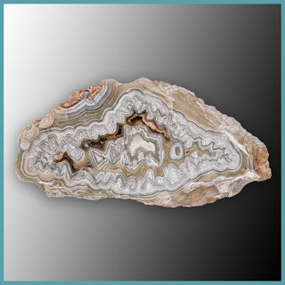 REL119 Laguna Lace Agate Specimen