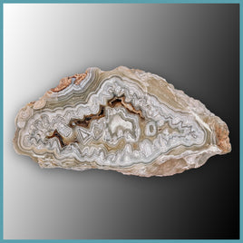 REL119 Laguna Lace Agate Specimen