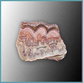 REL120 Laguna Lace Agate Specimen