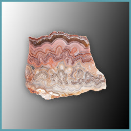 REL121 Laguna Lace Agate Slab