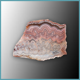 REL122 Laguna Lace Agate Specimen
