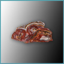 REL124 Laguna Lace Agate Specimen