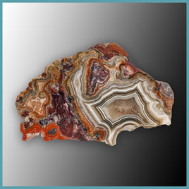 REL125 Laguna Lace Agate Specimen