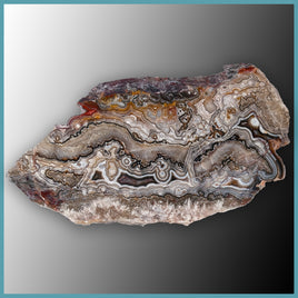 REL127 Laguna Lace Agate Slab