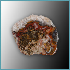 REL128 Laguna Lace Agate Specimen