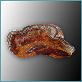 REL129 Laguna Lace Agate Specimen