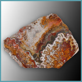 REL130 Laguna Lace Agate Slab