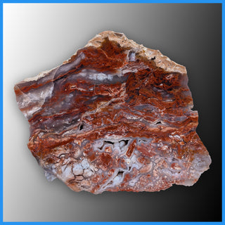 REV118 Red Velvet Agate Specimen