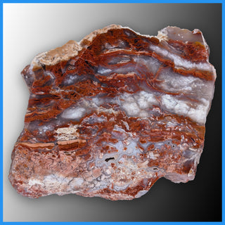 REV119 Red Velvet Agate Specimen