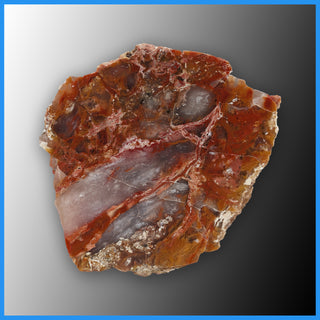 REV127 Red Velvet Agate Specimen