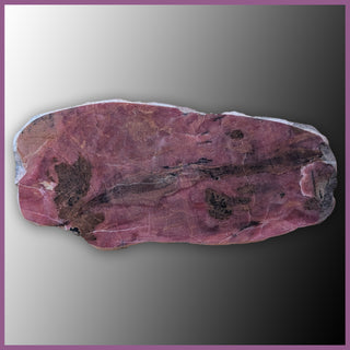 RHO111 Rhodonite Polished Slab