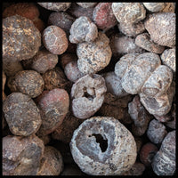 Blue Star Thundereggs, Rough Rock, per lb