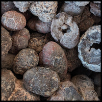 Blue Star Thundereggs, Rough Rock, per lb