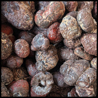 Blue Star Thundereggs, Rough Rock, per lb