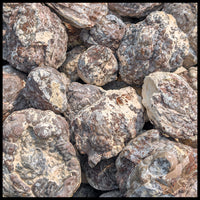 Fishhook Thundereggs, Rough Rock, per lb