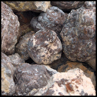 Fishhook Thundereggs, Rough Rock, per lb