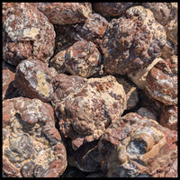 Fishhook Thundereggs, Rough Rock, per lb