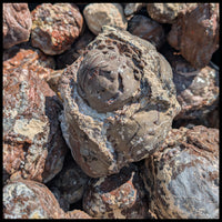Fishhook Thundereggs, Rough Rock, per lb