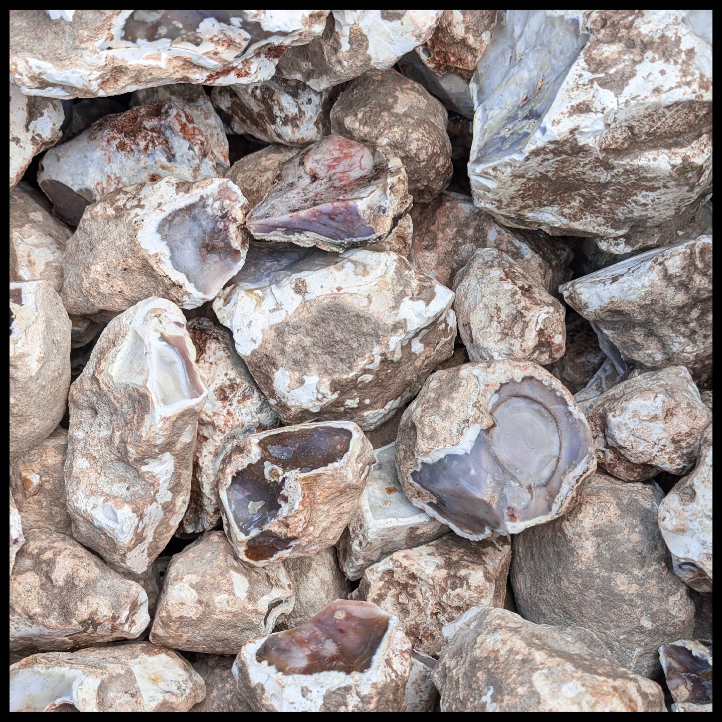 Lavender Jasper, Mexico, Rough Rock, per lb| The Gem Shop, Inc.