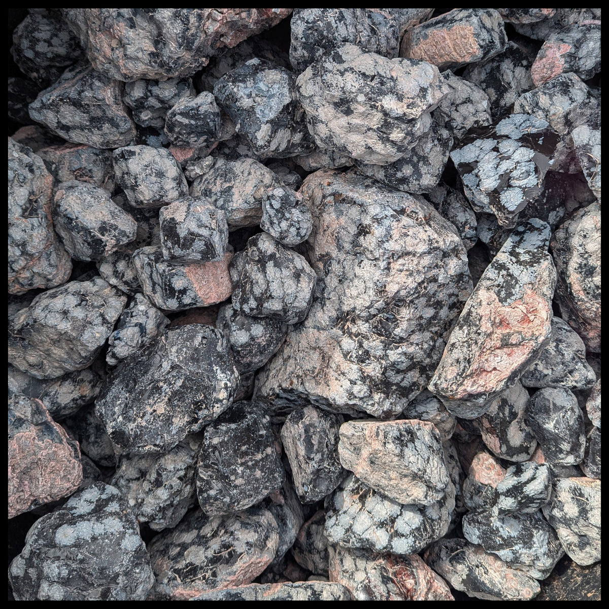 Flake Black Ruff Snowflake Obsidian, Large Flake, Rough Rock, per lb| The Gem Shop, Inc.