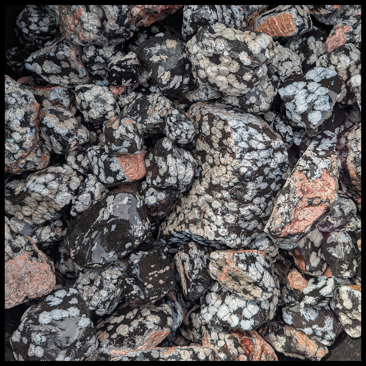 Touch Rough Rocks Rough Rock| The Gem Shop, Inc.