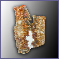 Graveyard Point Plume Agate Slabs (Regency Rose) - 1 lb lot