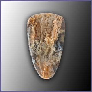 RRP718c Regency Rose Plume Agate Cabochon