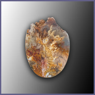 RRP729c Regency Rose Plume Agate Cabochon