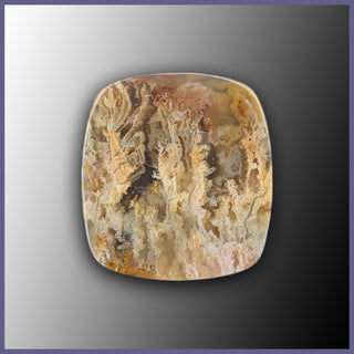 RRP733c Regency Rose Plume Agate Cabochon