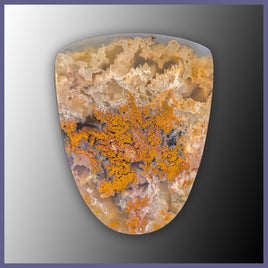 RRP734c Regency Rose Plume Agate Cabochon