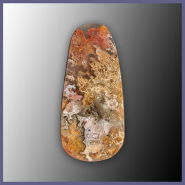 RRP735c Regency Rose Plume Agate Cabochon