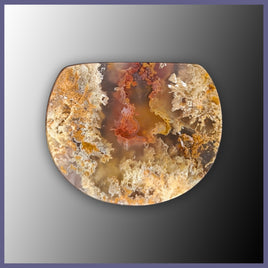 RRP737c Regency Rose Plume Agate Cabochon