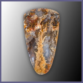 RRP740c Regency Rose Plume Agate Cabochon