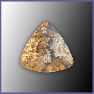 RRP742c Regency Rose Plume Agate Cabochon