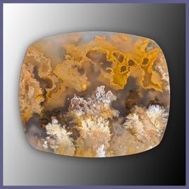 RRP743c Regency Rose Plume Agate Cabochon