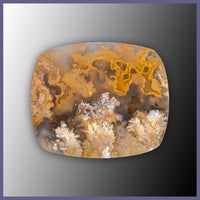 RRP743c Regency Rose Plume Agate Cabochon