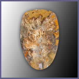 RRP745c Regency Rose Plume Agate Cabochon