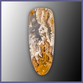 RRP752c Regency Rose Plume Agate Cabochon