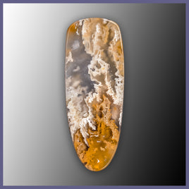 RRP752c Regency Rose Plume Agate Cabochon