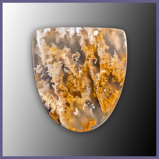 RRP753c Regency Rose Plume Agate Cabochon