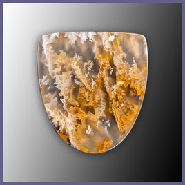 RRP753c Regency Rose Plume Agate Cabochon