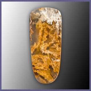 RRP755c Regency Rose Plume Agate Cabochon