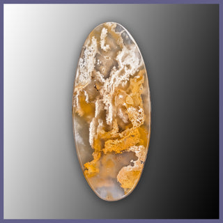 RRP756c Regency Rose Plume Agate Cabochon