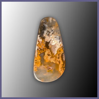 RRP758c Regency Rose Plume Agate Cabochon