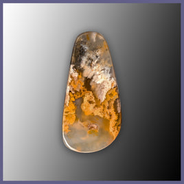 RRP758c Regency Rose Plume Agate Cabochon